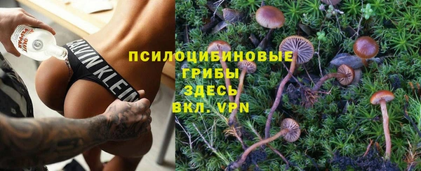 сатива Алексин