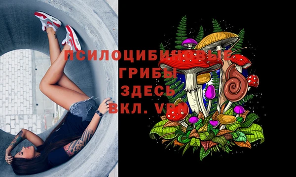 индика Алексеевка