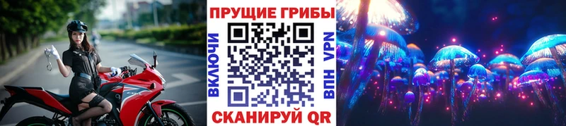 mega ТОР  Верхнеуральск  Псилоцибиновые грибы мухоморы 